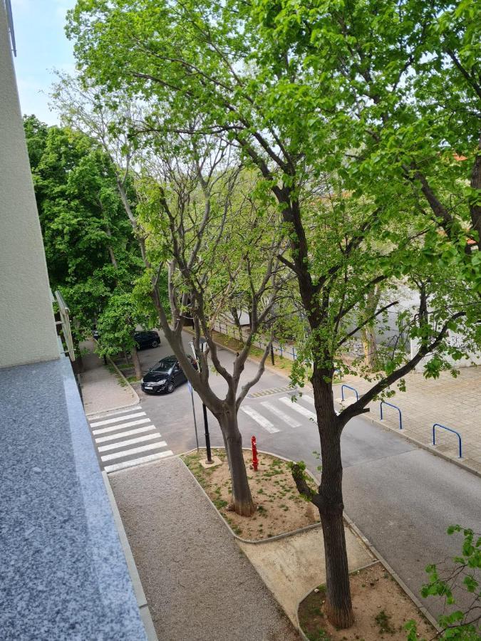 Apartment Alea Сень Екстер'єр фото
